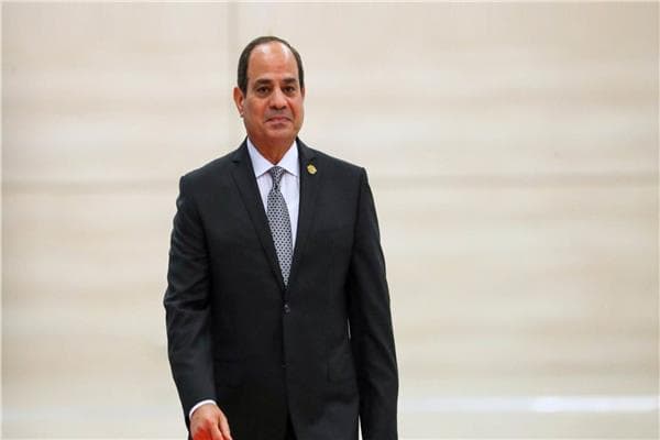السيسي يؤكد دعم استقرار أفريقيا