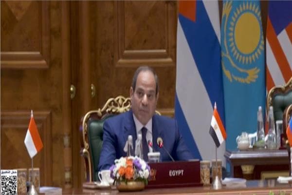 السيسي: قناة السويس مهمة للتجارة الدولية