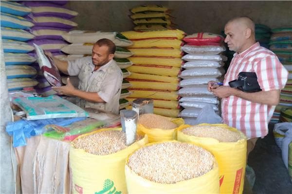 Arish Market Enforces Animal Feed Shop Crackdown