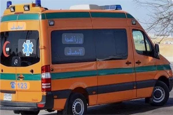 Girl killed by car in Qena