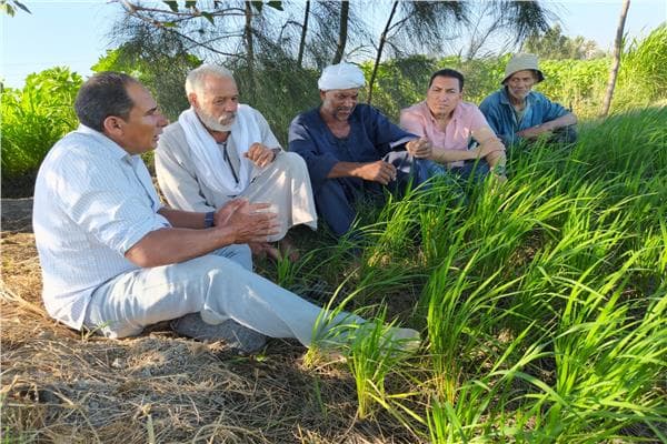 Beheira Fields Gateway Improves Irrigation