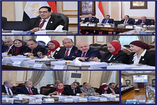 Cairo University Council Sets New Priorities