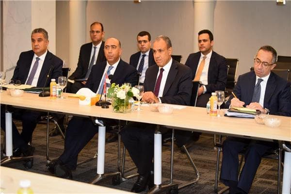 Egypt's Foreign Minister affirms support for UN