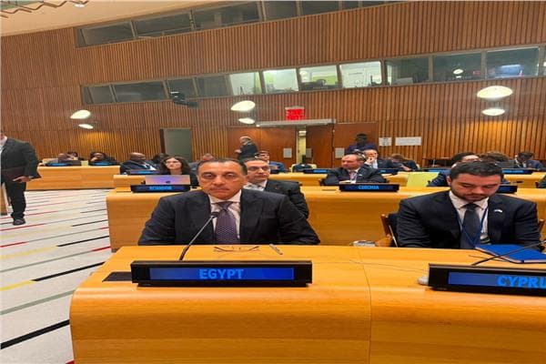 Madbouly calls for reform of global financial system