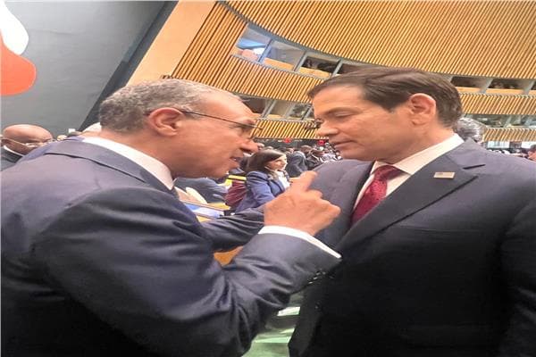 Foreign and US ministers discuss Sudan