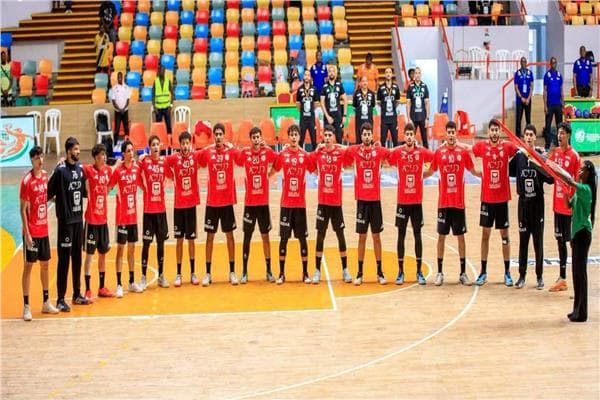 2008 team returns to Cairo after Africa Handball win