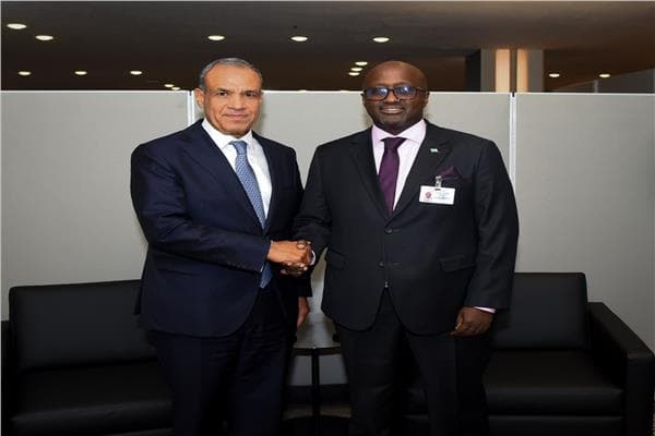 Egypt and Rwanda discuss African development at UN