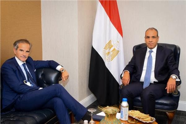 Foreign Minister meets IAEA chief candidate for UN role