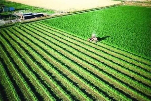 إطلاق نظام رقمي لتسجيل أراضي الزراعة