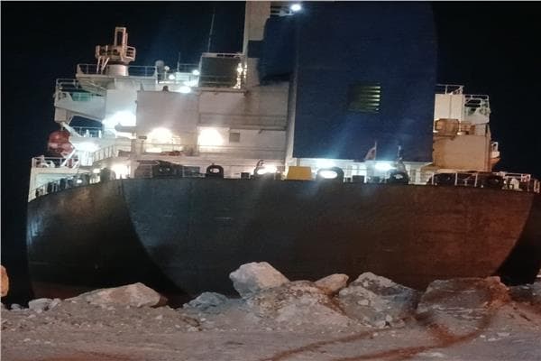 Ministry orders ship to stop chemical cargo at Dekheila