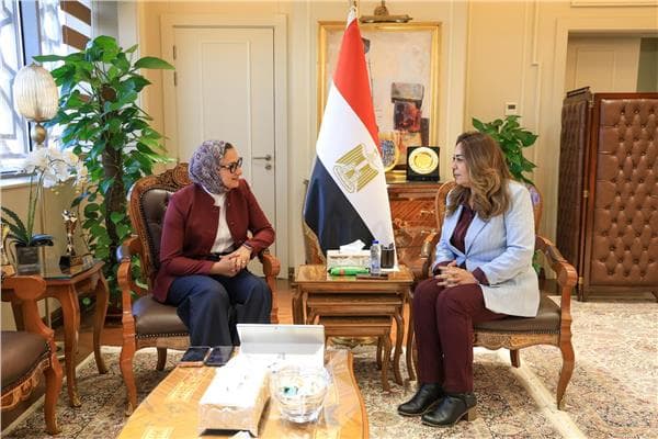 Minister reviews New Valley projects