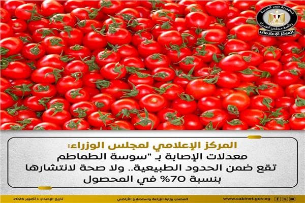 Cabinet: Tomato Borer Rates Normal