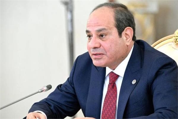 House Speaker: Egypt Advances Under Sisi