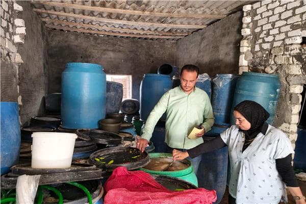 حملة لمصادرة مخللات ومخالفات بالمحافظات