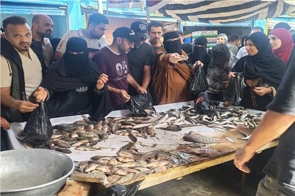 Ismailia Launches Fish Price Reduction Plan