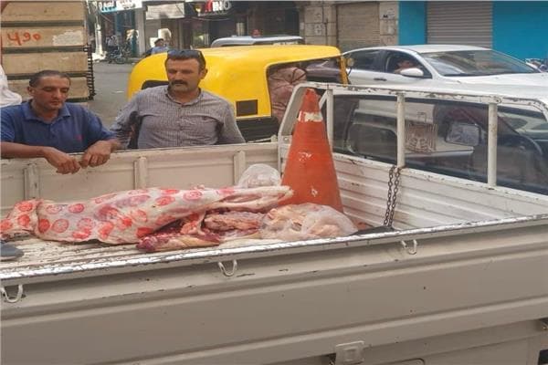 Monufia Vet Dept Finds Spoiled Meat Outside Abattoirs
