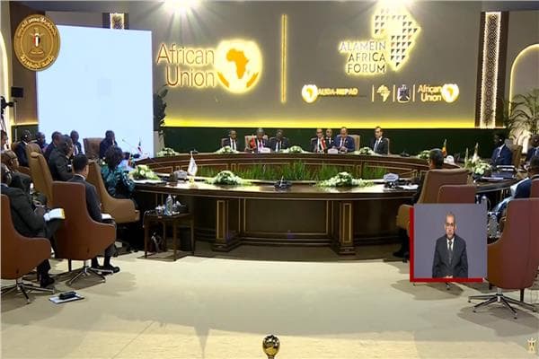 President Sisi Leads AUDA Summit