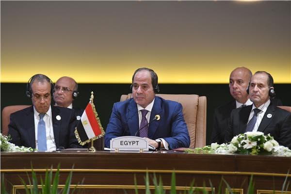 El-Sisi: Private Sector Spurs Africa's Growth