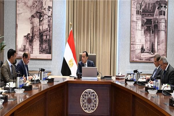 PM reviews fertilizer supply efforts