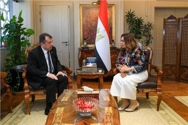 Armenian envoy discusses COP17 with local minister