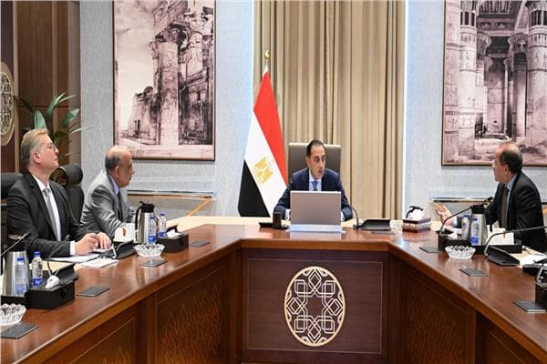 PM reviews Egyptian Energy session