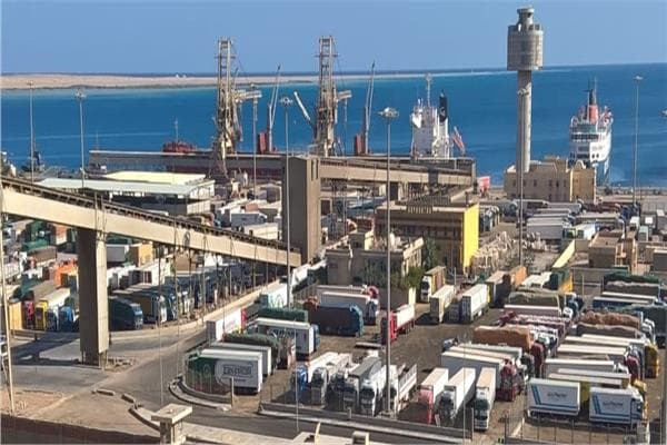 موانئ البحر الأحمر تتداول 10 آلاف طن و600 شاحنة