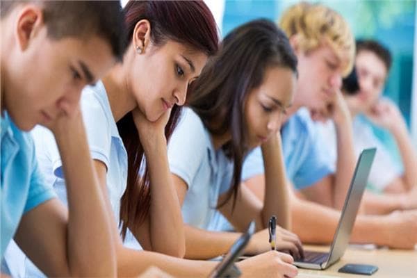 Concerns over teaching difficulties in Arabic