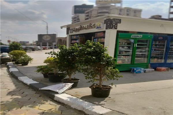 Cairo Kiosks Expand to Over 60
