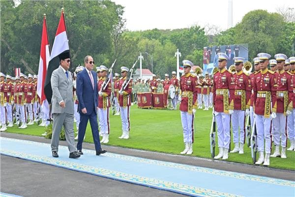Egypt-Indonesia Pact Supports Palestinian State
