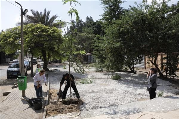 Local Tree Planting with Tenants Union