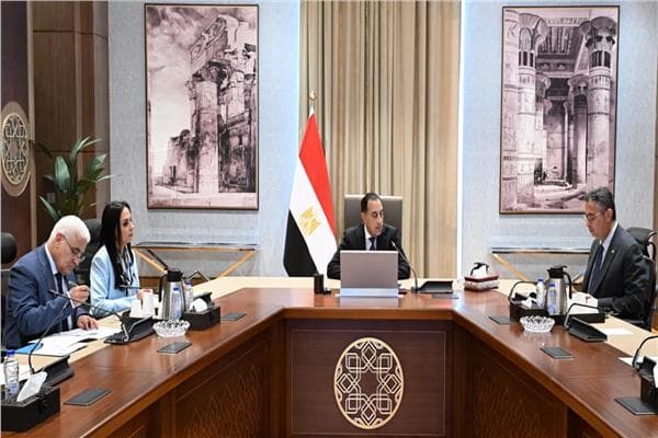 PM reviews Egypt 2026 preps