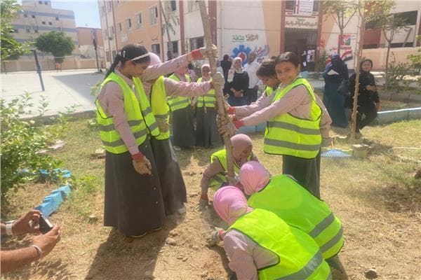 التنمية المحلية تبدأ زراعة 4800 شجرة في السويس
