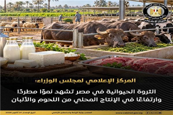 الحكومة تؤكد ارتفاع الثروة الحيوانية إلى 8.6 مليون رأس