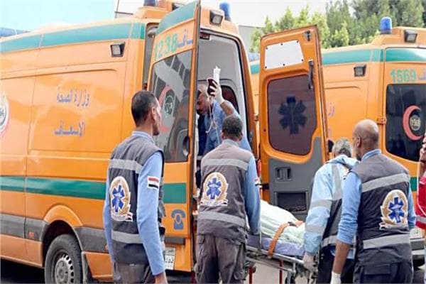 Two youths die in Qalyubia crash