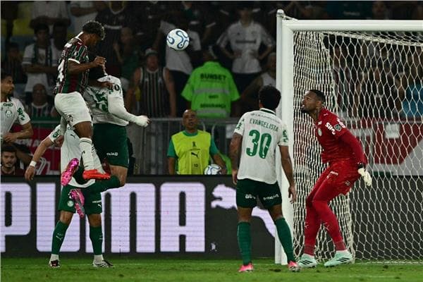Palmeiras advances near Libertadores final