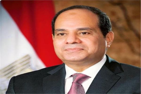 President Sisi Urges Respect for Security Forces