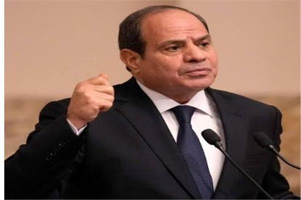 Al-Sisi: Efforts to distort security roles