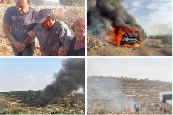 Olive Harvest Faces Violence in West Bank