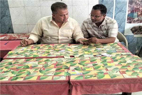 Giza Finds 4,133 Food Violations