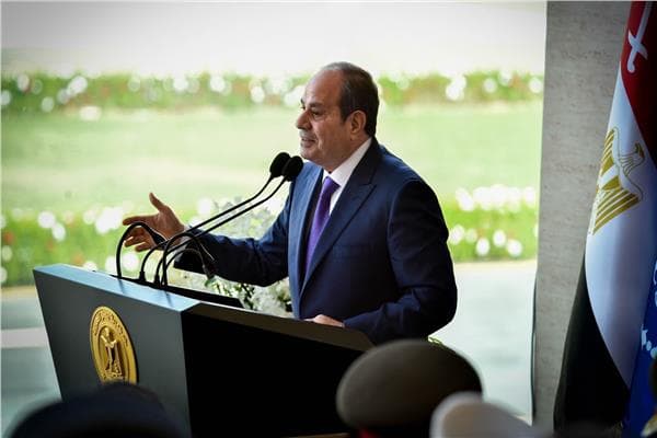 Sisi's 2030 Vision and Saudi Backing