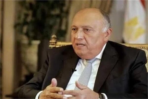 Sami Sherif: Egypt will protect national security