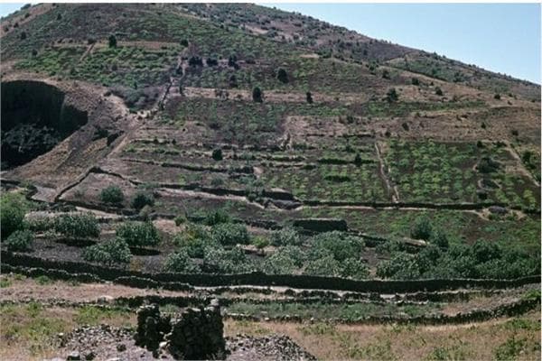 Major Israeli military action at Jabal Al-Arab