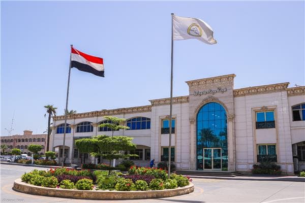 مجيء 10 سفن وتداول 103 ألف طن في دمياط