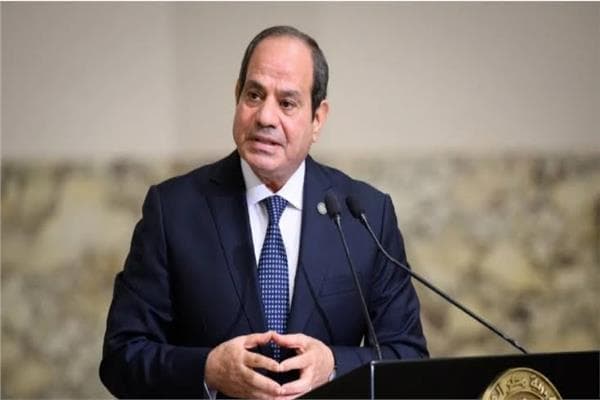 Sisi stresses balanced religious awareness to fight extremism