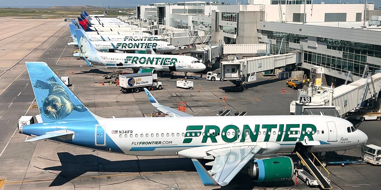 Airline CEO Addresses Market Gap