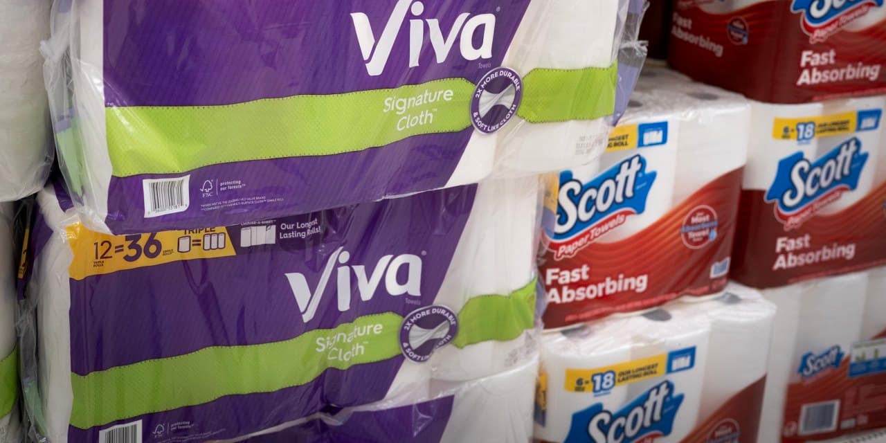 Kimberly-Clark Explores Hesperaloe as Paper Raw Material