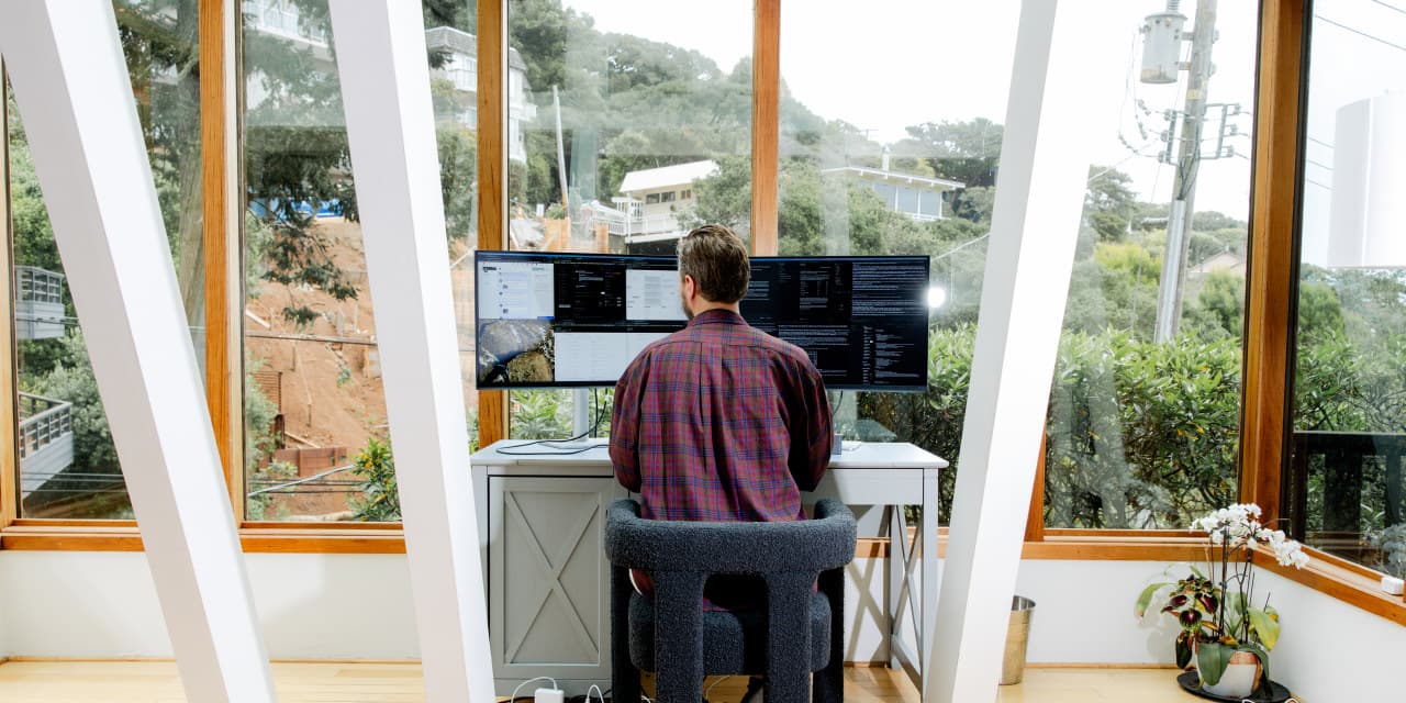 Single-Employee Million-Dollar Firms