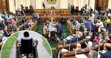 Law outlines disability IP protections