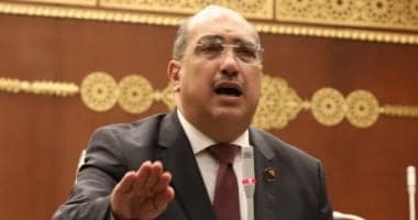 Senate Member: Chinese President's Egypt Visit Boosts Investment