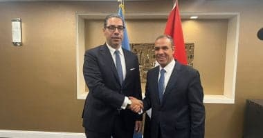 اتصال بين وزيري الخارجية المصرية والقبرصي